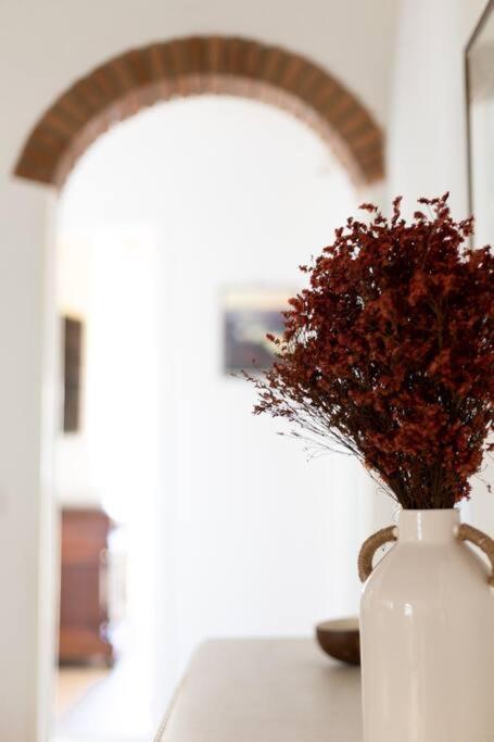 Luxury Apartment In The Center Of Firenze Eksteriør bilde